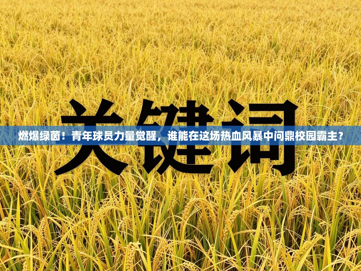 燃爆绿茵！青年球员力量觉醒，谁能在这场热血风暴中问鼎校园霸主？